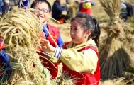 北半球最撩人的秋色 在中国！