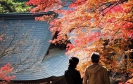 京都私藏的这些红叶胜地让人惊叹不已