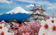 避开人山人海看樱花 私密的花见体验就藏在这些日本酒店里