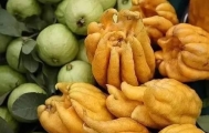 密集恐惧症患者慎入 东南亚10大奇异水果