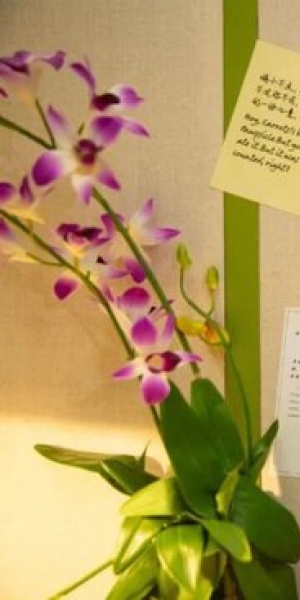 看《疯狂动物城2》也能启发你的冬日妆容新灵感！