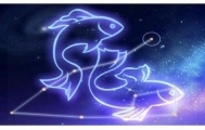 笑谈十二星座 天真作死的鱼儿篇