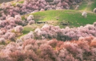 建筑师在停车场上盖了个大屋顶，大人孩子玩得不想回家